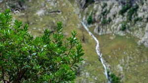 Rutas circulares en los Picos de Europa: descubre itinerarios que empiezan y terminan en el mismo punto