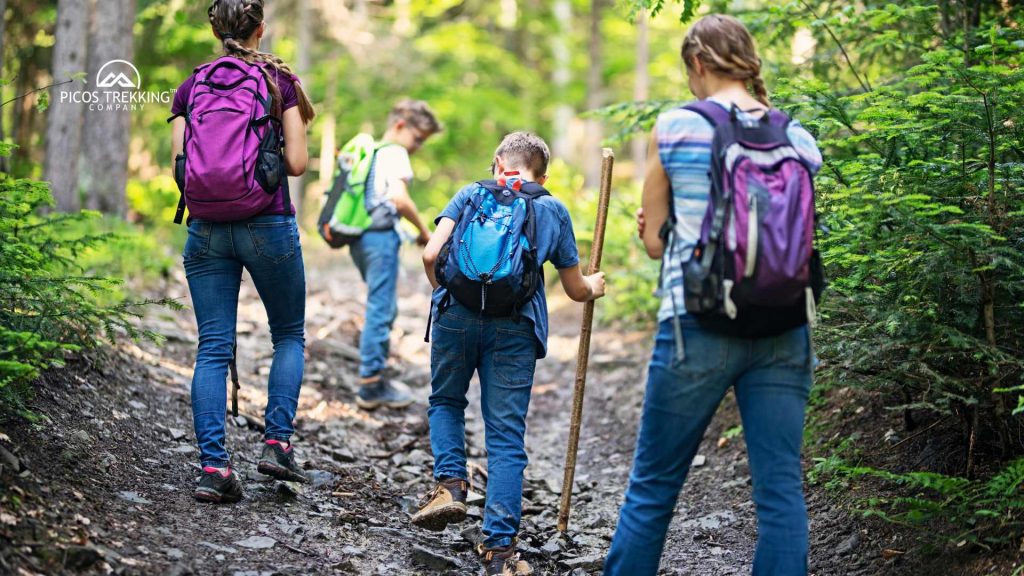 7 consejos prácticos para caminar en montaña sin importar tu nivel